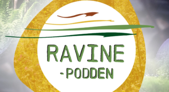 Episode 01: Hva er egentlig en ravine?